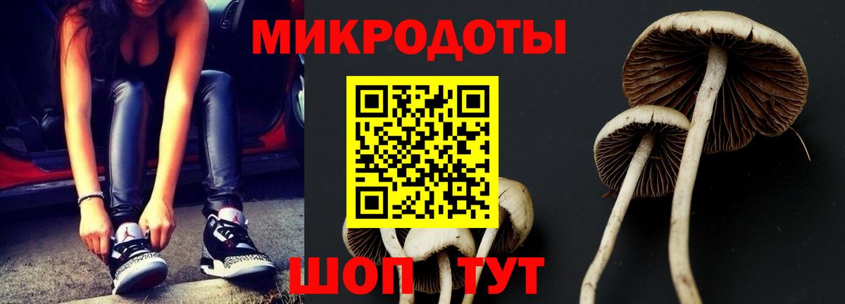 Галлюциногенные грибы прущие грибы  Галлюциногенные грибы GOLDEN TEACHER  Вход с VPN  Ставрополь 
