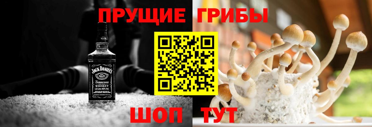 Галлюциногенные грибы Magic Shrooms Ставрополь